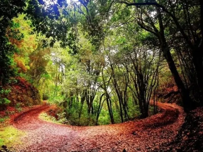 Apartman Tenohomes Rural Luxury Scape, Buenavista *